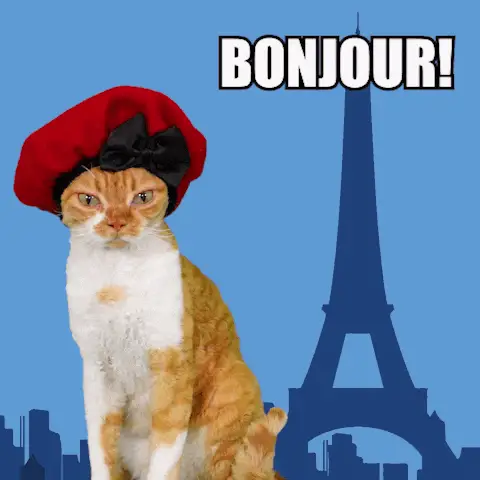 Devon Rex Cat in Beret Says Bonjour in Paris