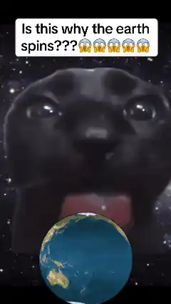 Cat Explains Why The Earth Spins