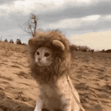 GIF caricata da Mattia