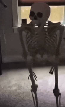 GIF