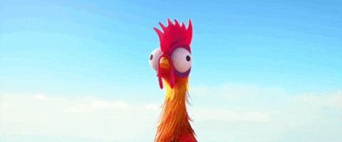 Heihei the Rooster from Moana – free GIF download | meme platform | memes GIF