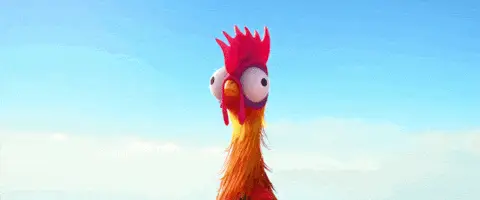 Heihei the Rooster from Moana – free GIF download | meme platform | memes GIF