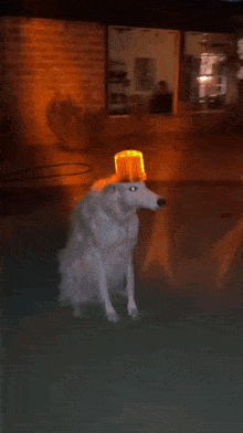 GIF