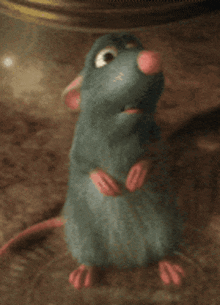 GIF