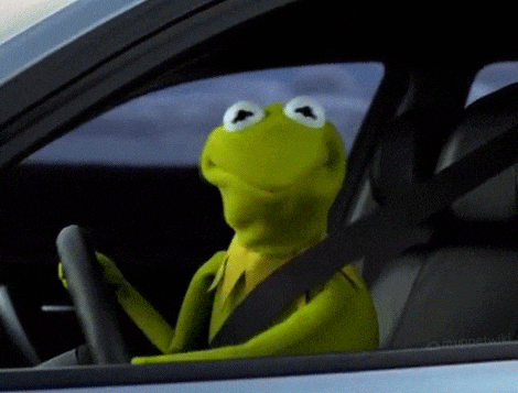 Kermit the Frog in Car: No Driving