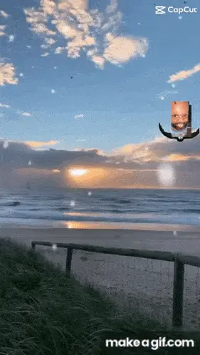 Baby Beard Flying Over Beach at Sunrise – tiktok memes meme GIF free download no watermark 2026
