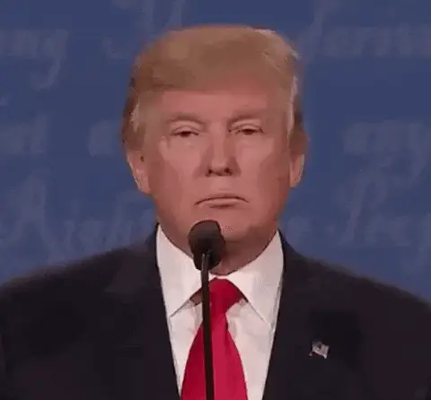 Donald Trump Smiles and Nods