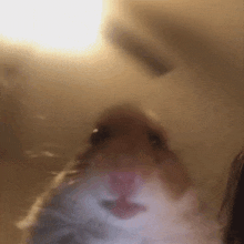GIF uploaded by Jordan