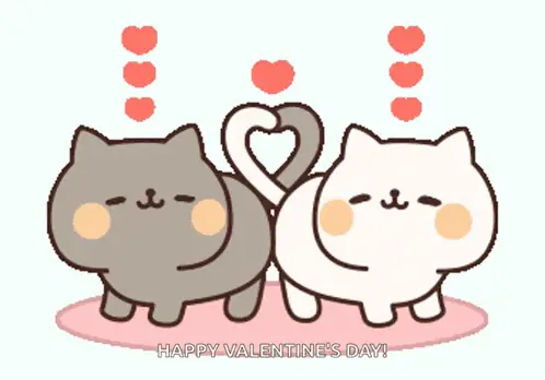 Cute Kitten Couple Valentine's Day – free GIF download