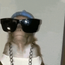 Inefablejuly Cool Monkey With Sunglasses
