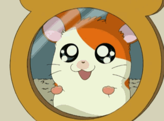 Cute Hamtaro Looks in Mirror