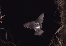 GIF uploaded by Glade