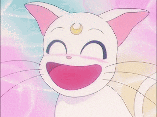 Artemis from Sailor Moon Upset