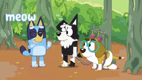 Bluey: What's Going On?