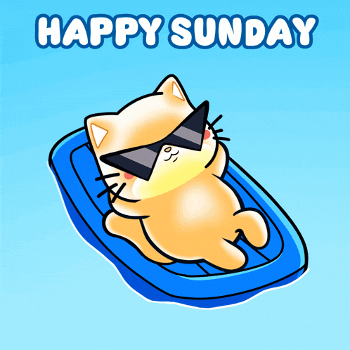 Mochi Mochimon: Happy Sunday Cat on Floaty