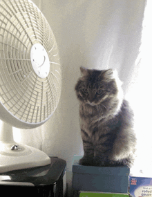 GIF uploaded by HIKARI ε
