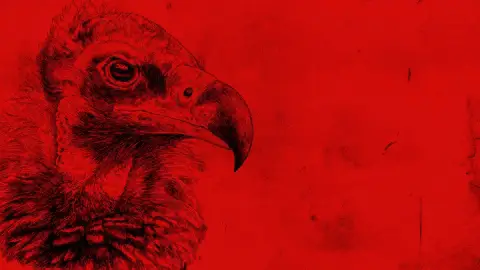 Hoje Tem Flamengo! CR Flamengo