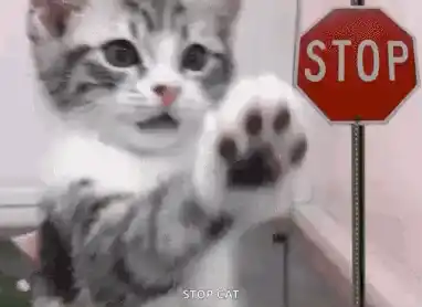 Funny Kitten Says Stop with Paw and Sign