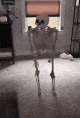 GIF
