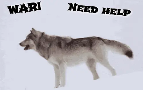 Lonelywolveswar: War! Need Help – memes of 2026 meme GIF free download no watermark 2026