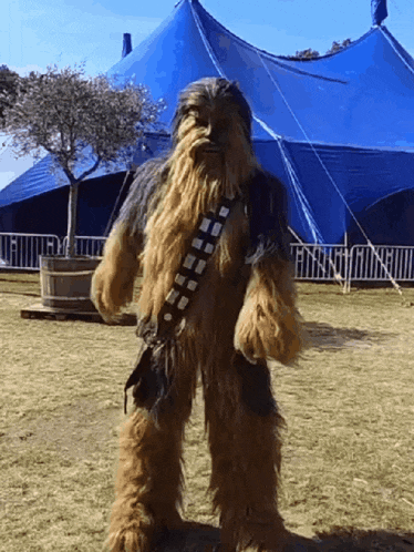 Wookiee Chewbacca dancing