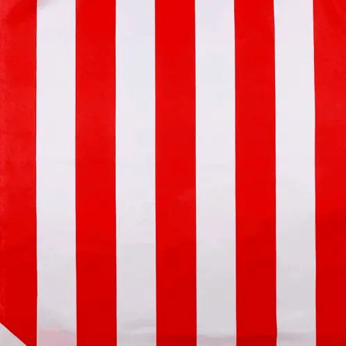 Athletic Club Bilbao Lion Crest Reveal