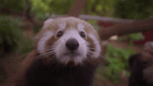 GIF uploaded by Yasin