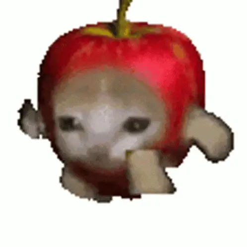 Bruh Cat in Apple Hat Eats Banana