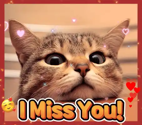 I Miss You Cat Message