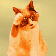 Si mrfuéaos rteesno y la eeturm no siexet nentesco írecears que eruidpa exiirst la tmuree ? Y por ened por qué no sioD