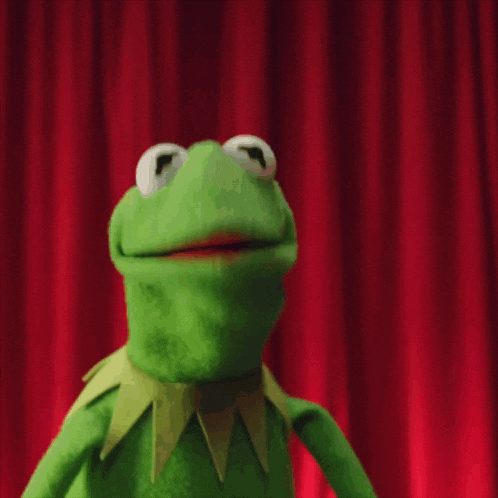 Kermit The Frog Sings on Stage