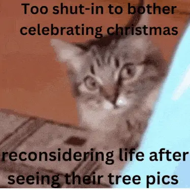 Shut-in Cat Reconsiders Christmas After Tree Pics