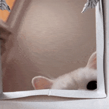 GIF објавен од Alkaa