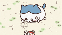 GIF subido por Shuvia