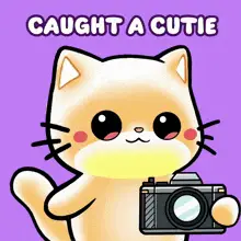 Caught a Cutie: Adorable Cat with Camera