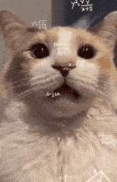 GIF ajouté par Myriam