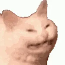Ballsdex Kot Meme Cat Sneeze – free GIF download
