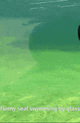 GIF uploaded by No