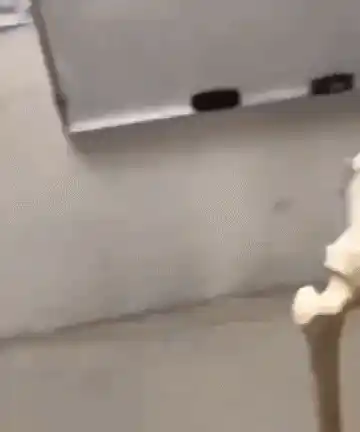 Skeleton Thinking: Hmm Hmmm