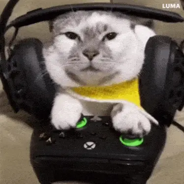 Gamer Cat with Headphones