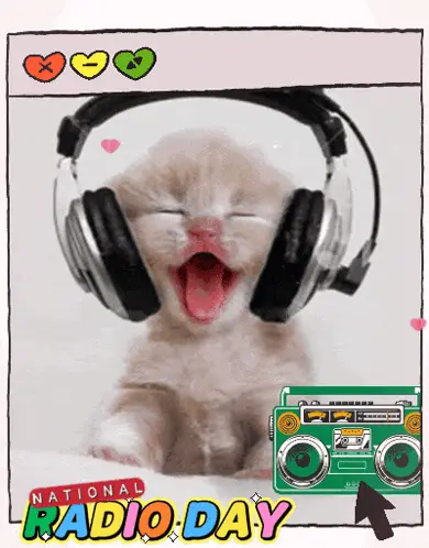 Happy National Radio Day with a Cute Kitten