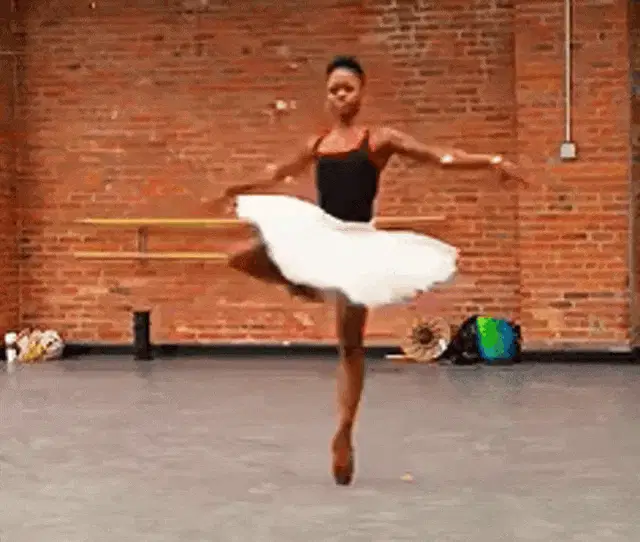 Michaela Deprince, Black Ballerina