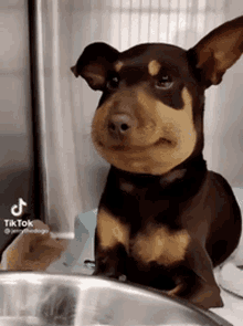 GIF uploaded by Neil McBeal