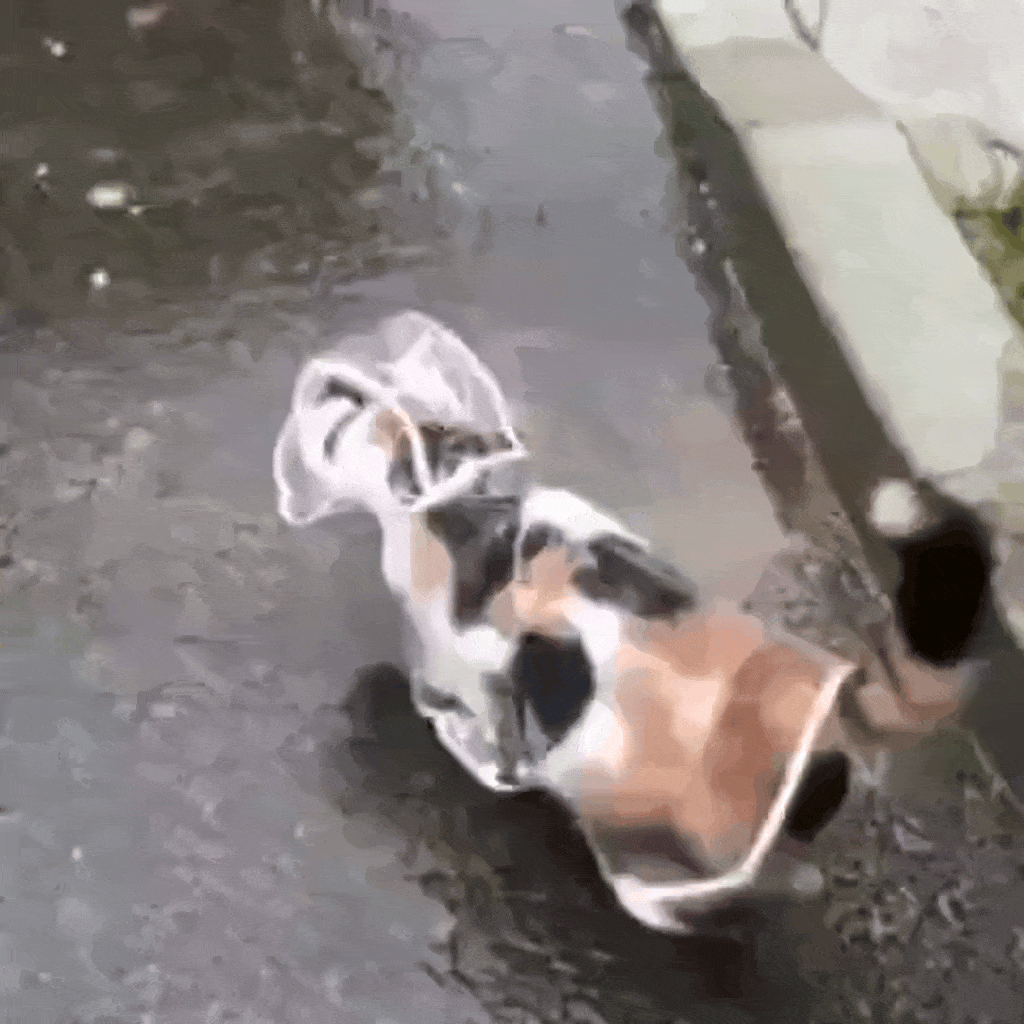 У природы нет плохой погоды!