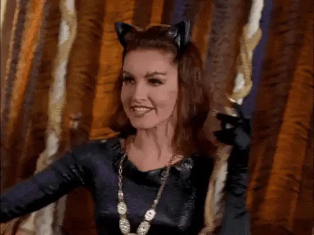 Selina Kyle Catwoman the Best Guest