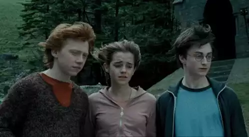 Harry, Ron, and Hermione's Comforting Hug