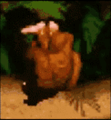 GIF