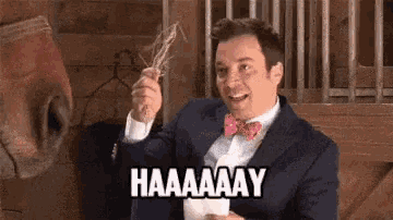 Jimmy Fallon's Hilarious 'HAAAAAAY' with Horse
