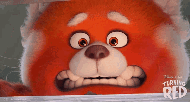 Shocked Red Panda Mei Lee from Turning Red