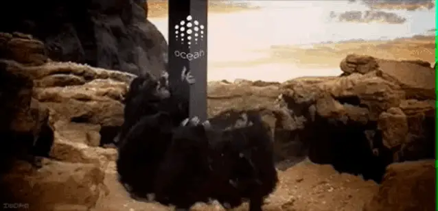 Apes Discover Ocean Protocol Monolith